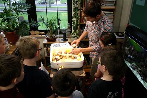 Mr. Orzel and students watching the incubator 