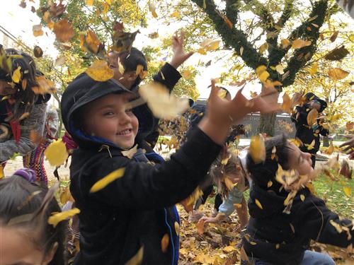 Students playing in leaves 