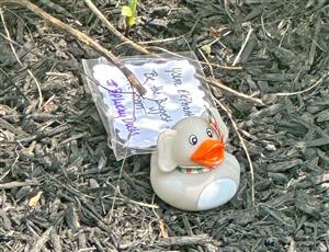 elephant rubber duck with a joke on the tag