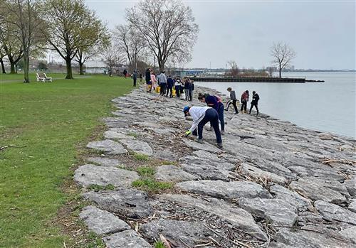 Volunteers clean up shoreline trail