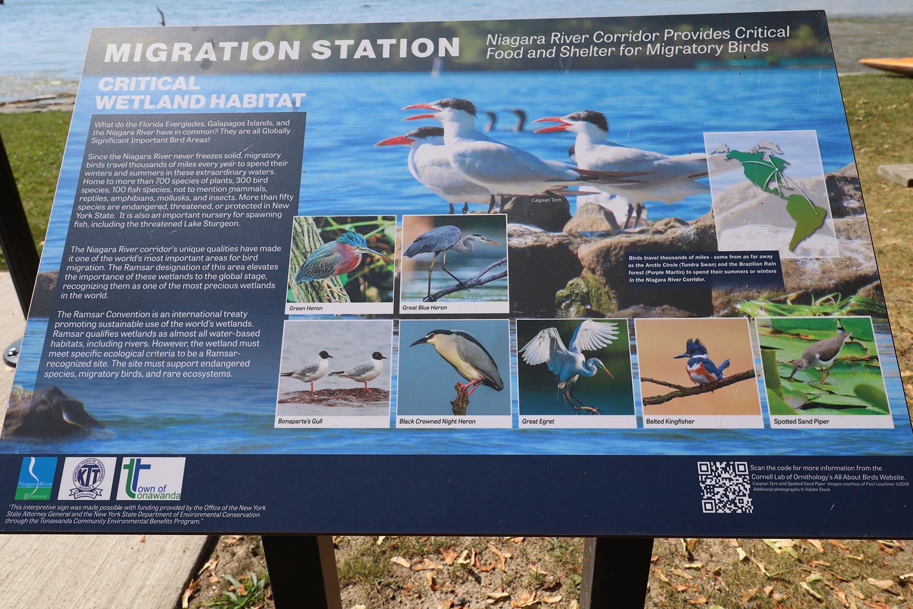 Migration Station sign