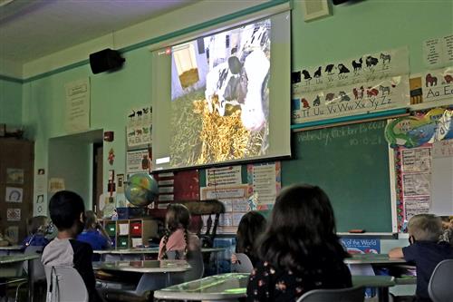 Virtual farm visit