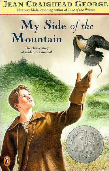 SideoftheMountain 