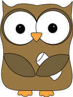 owl owl