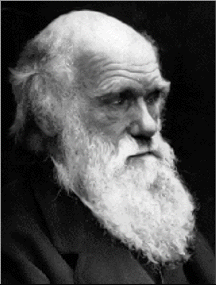 Darwin 