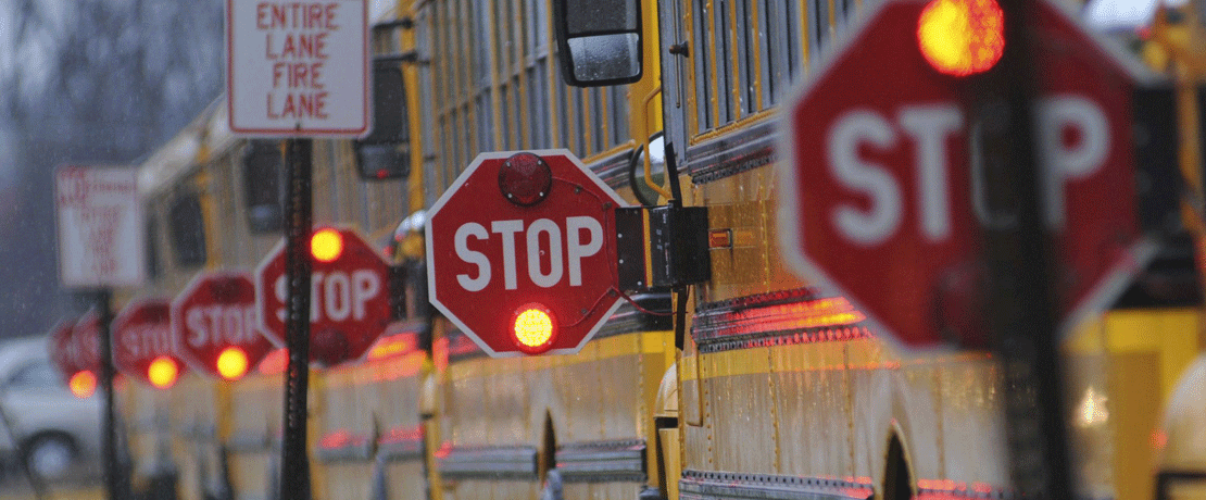 Buses